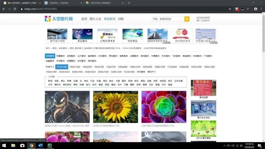 天堂网最新版,