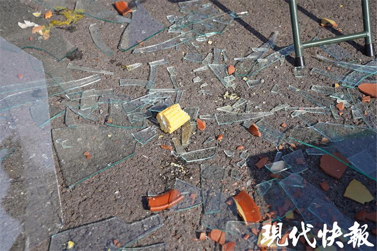 新港澳彩开奖号码记录和天降花盆砸路人脚边与花盆坠落将人砸死